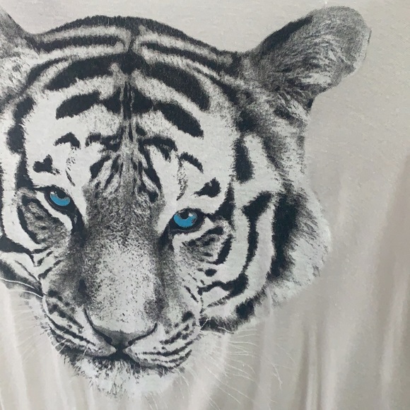 Tiger Tank - Picture 3 of 3